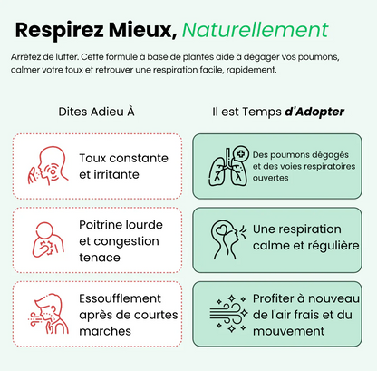 Molène : purifiez vos poumons et respirez facilement