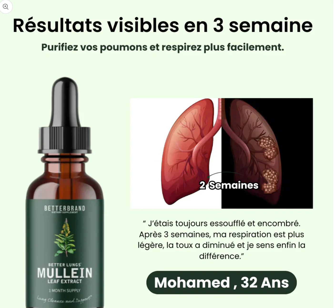 Molène : purifiez vos poumons et respirez facilement