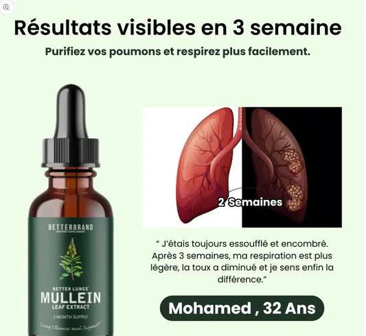 Molène : purifiez vos poumons et respirez facilement